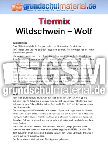 Wildschwein - Wolf.pdf